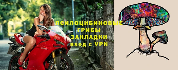 дмт Заволжье